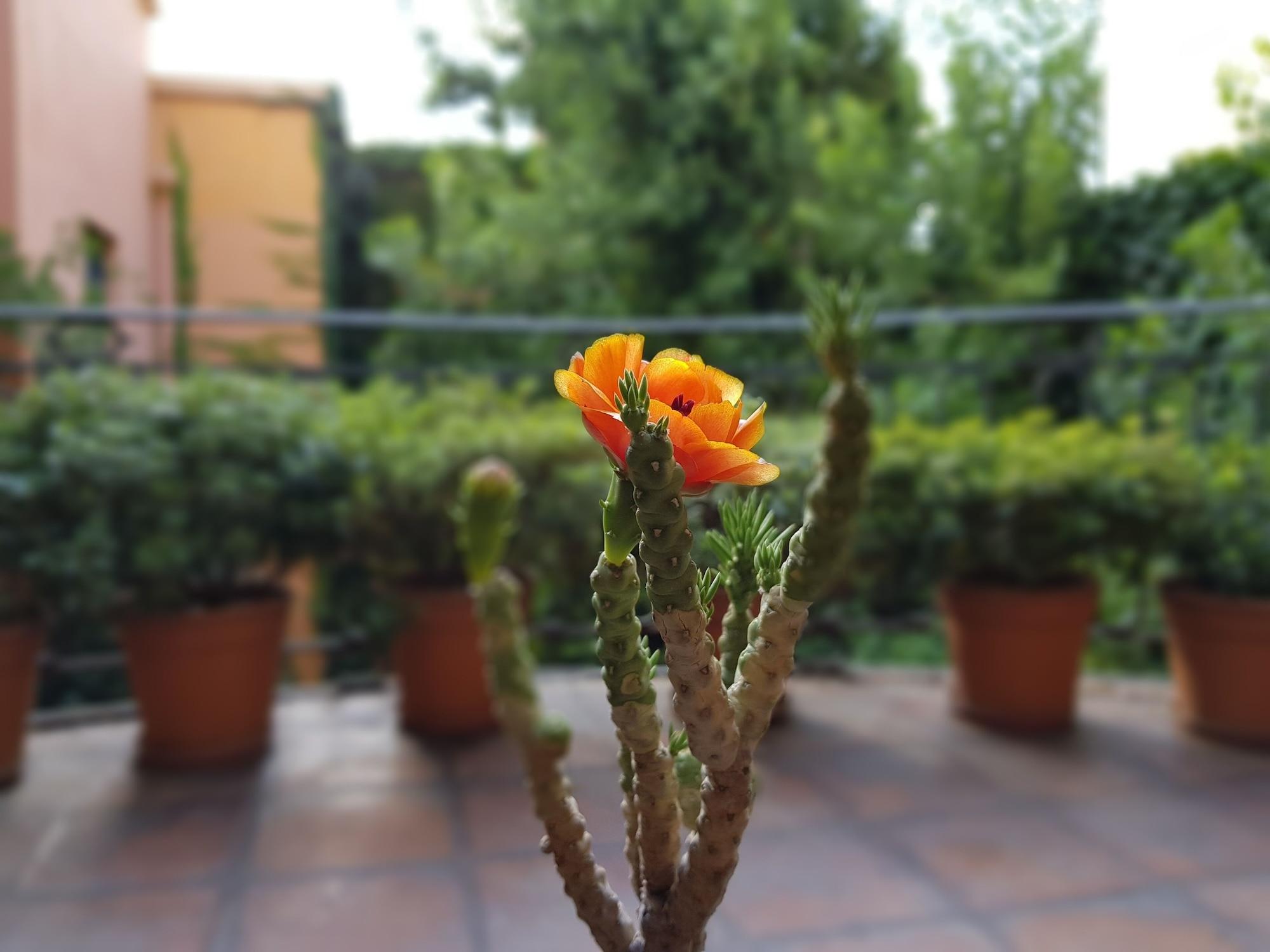 Legado Mitico Salta Hotel Boutique Екстериор снимка